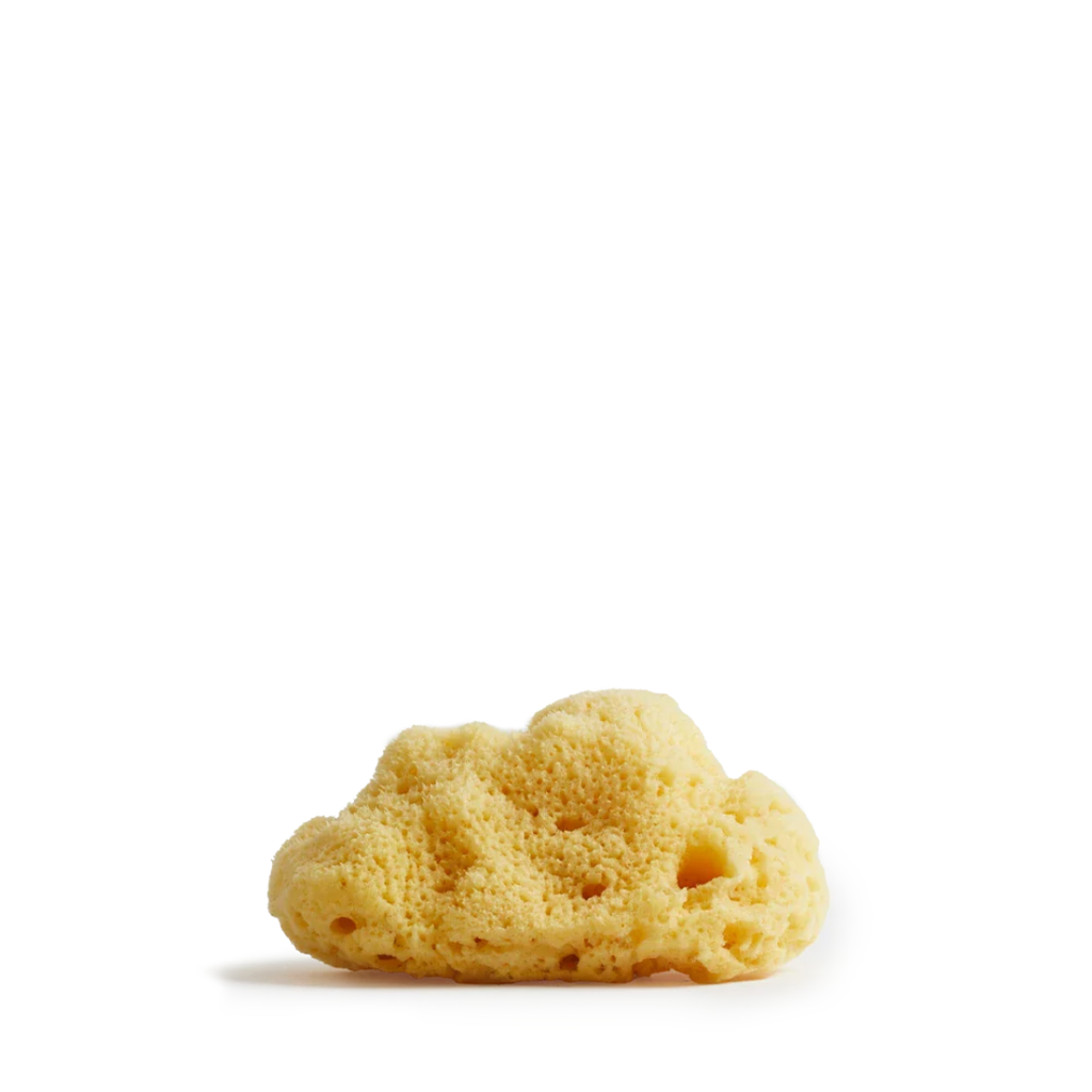 Sea sponge - Big 10-12 cm