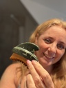 Roen Lymfebørste med Gua Sha