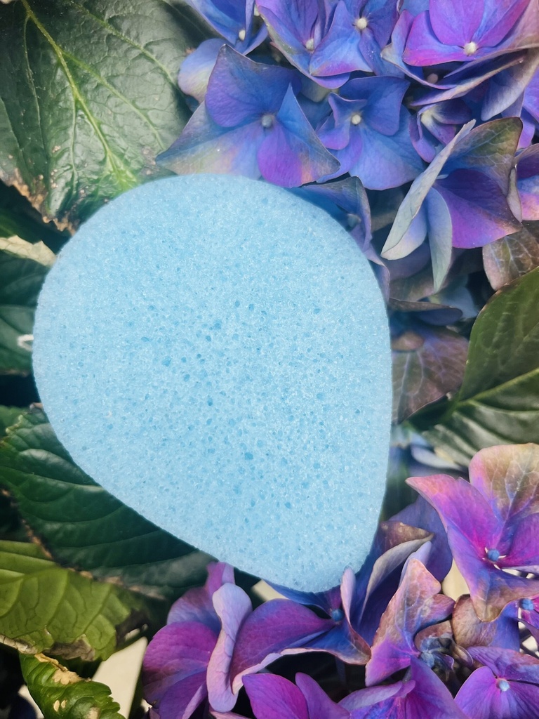 Organic Konjac - Blueberry Face Sponge - Limited Edition