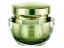 Phyris - FoREST Night Cream 50 ml.